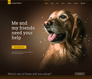 BeAnimal Shelter