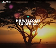 BeSafari