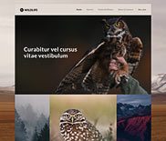 BeWildlife